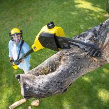 Best Aeration Services  in Sterling Ranch, CO